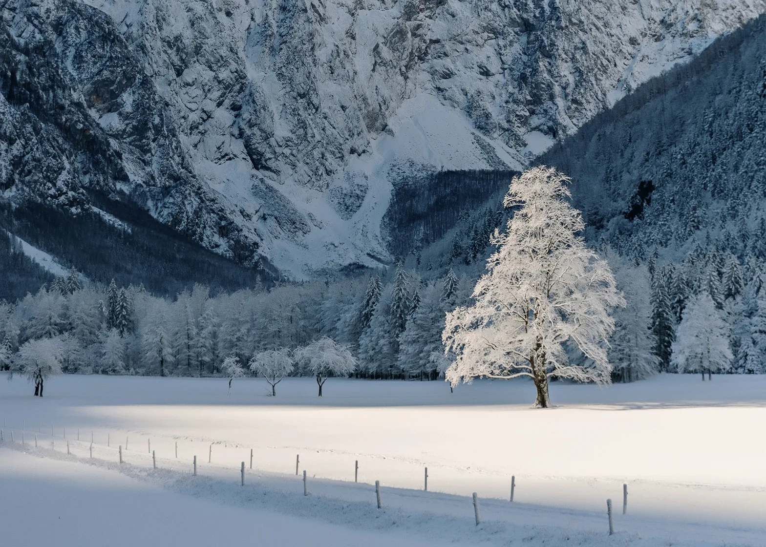 hotel-plesnik-about-us2