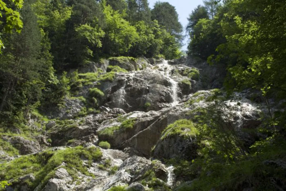 17 Forest Therapy